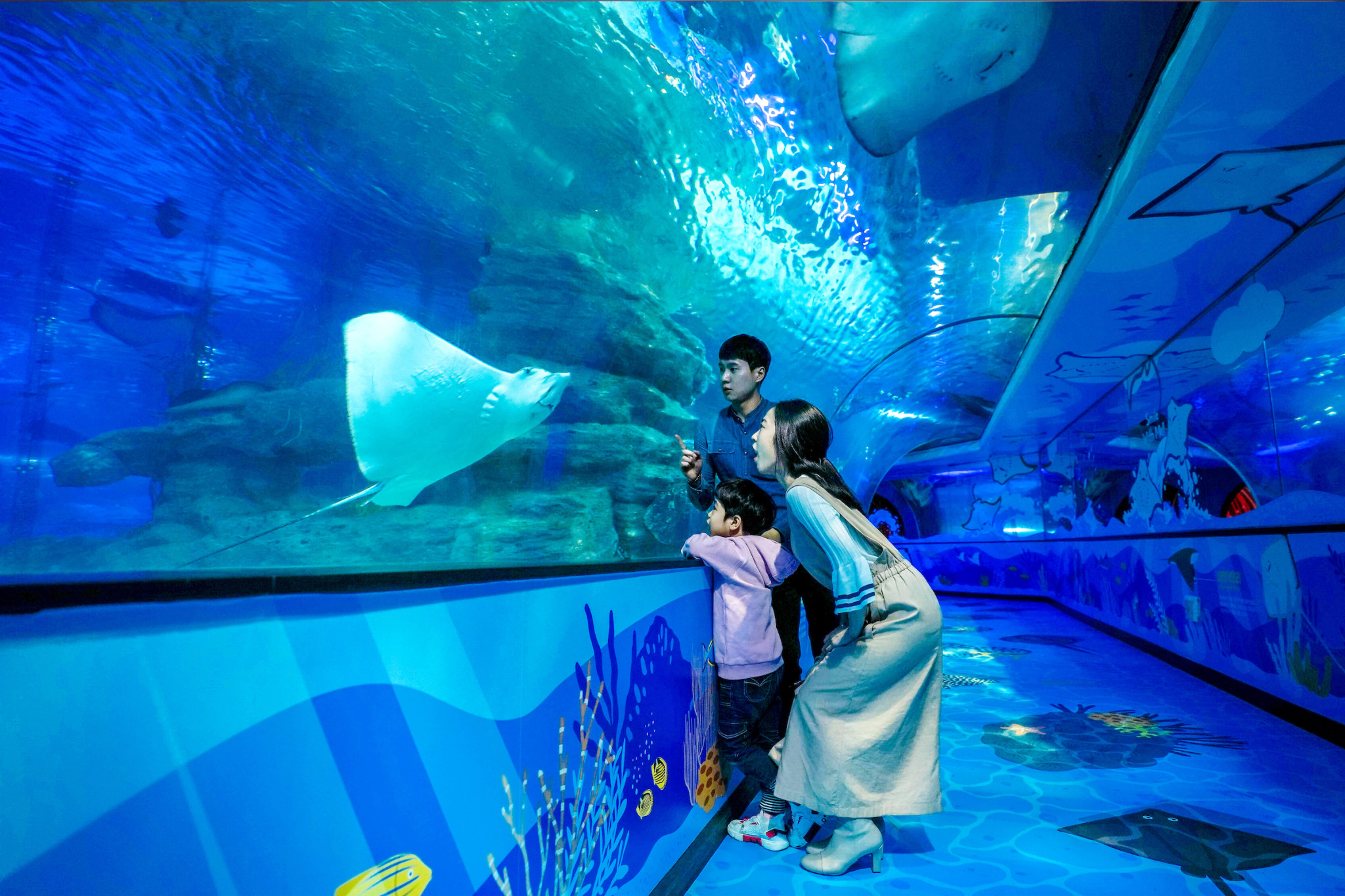 Sea Life Busan Aquarium Tickets | Korea - Photo 1 of 7